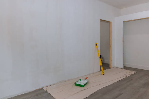 Reliable Gering, NE Mold Removal Solutions